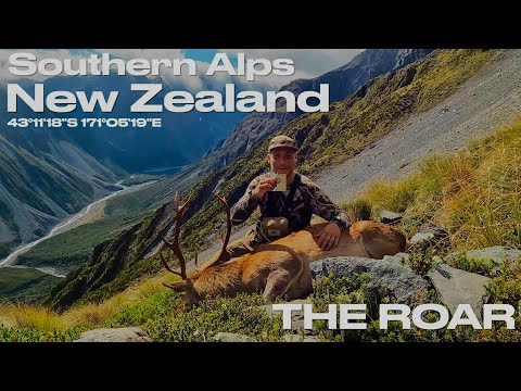 BEST HUNT OF MY LIFE - Red Stag hunting in the Roar - New Zealand