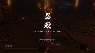 【SEKIRO】隻腕の狼が梟で鴨撃ちを嗜んだお話。