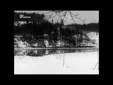 TSV 1860 Munich in the Football Oberliga South