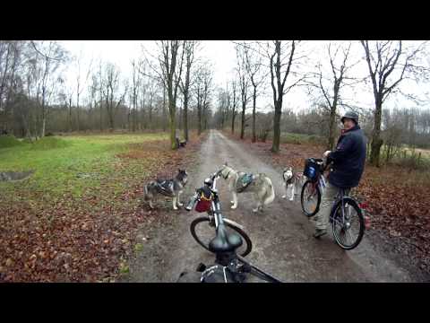 2012 12 16 Herten schlosspark