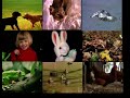9 Animals Around Me Videos Playing At Once High Quality Version