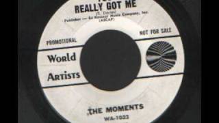 The Moments - you really got me.wmv