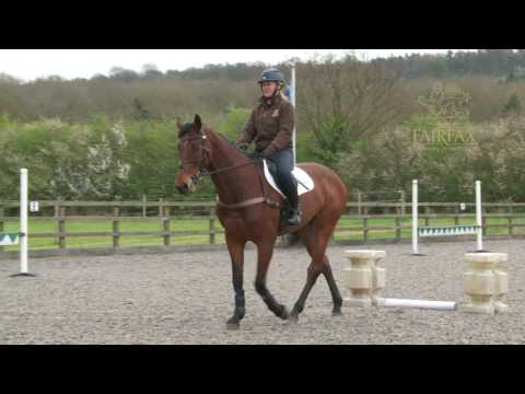 Emilie Chandler Masterclass in Minutes no 1 - Skinnies part 1