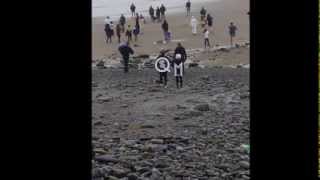 preview picture of video 'Amroth New Year Day Swim 2014'