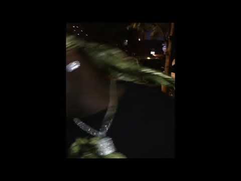 AtuedadVasegui Mejores Videos 2017