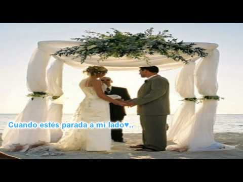 'The 1910 Fruitgum Company - When We Get Married (Subtítulos En Español).wmv