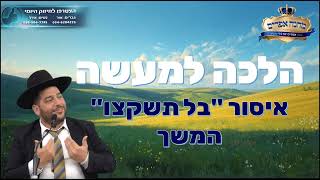 הלכה למעשה- איסור "בל תשקצו"-המשך- הרב אפרים שרבני (הרב אפרים שרבני) - התמונה מוצגת ישירות מתוך אתר האינטרנט יוטיוב. זכויות היוצרים בתמונה שייכות ליוצרה. קישור קרדיט למקור התוכן נמצא בתוך דף הסרטון