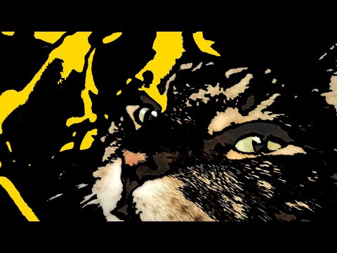 My Cat Ate a Bee OFFICIAL MUSIC VIDEO