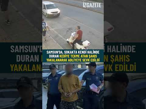 Samsun'da, sokakta kendi halinde duran kediye tekme atan şahıs yakalanarak adliyeye sevk edildi