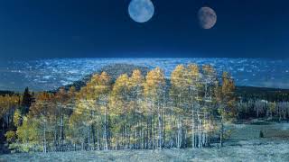 Trăng sáng ngàn dặm gửi tương tư violin 明月千里寄相思