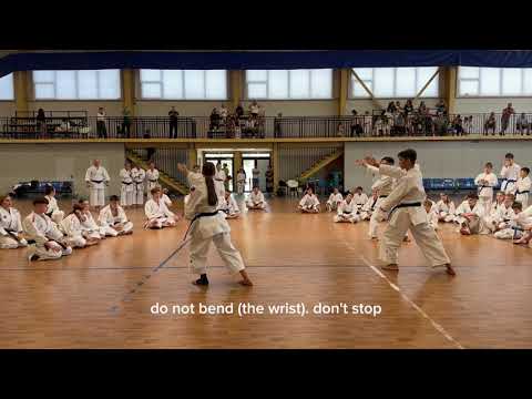 Unsu – Shotokan Kata | Sensei Shohei Toyama (JKS, 5 DAN) Part 3