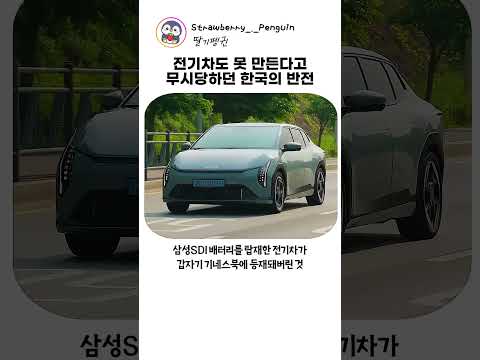 전기차의 반전