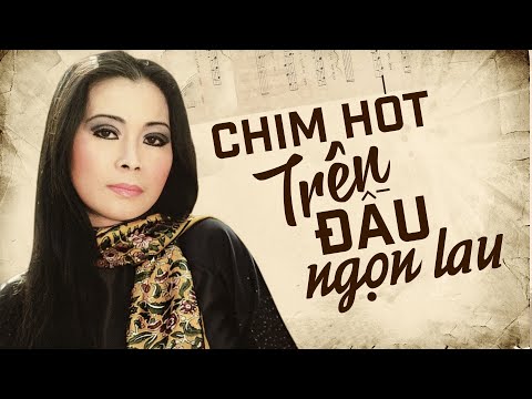 Chim hót trên đầu ngọn lau - Khánh Ly