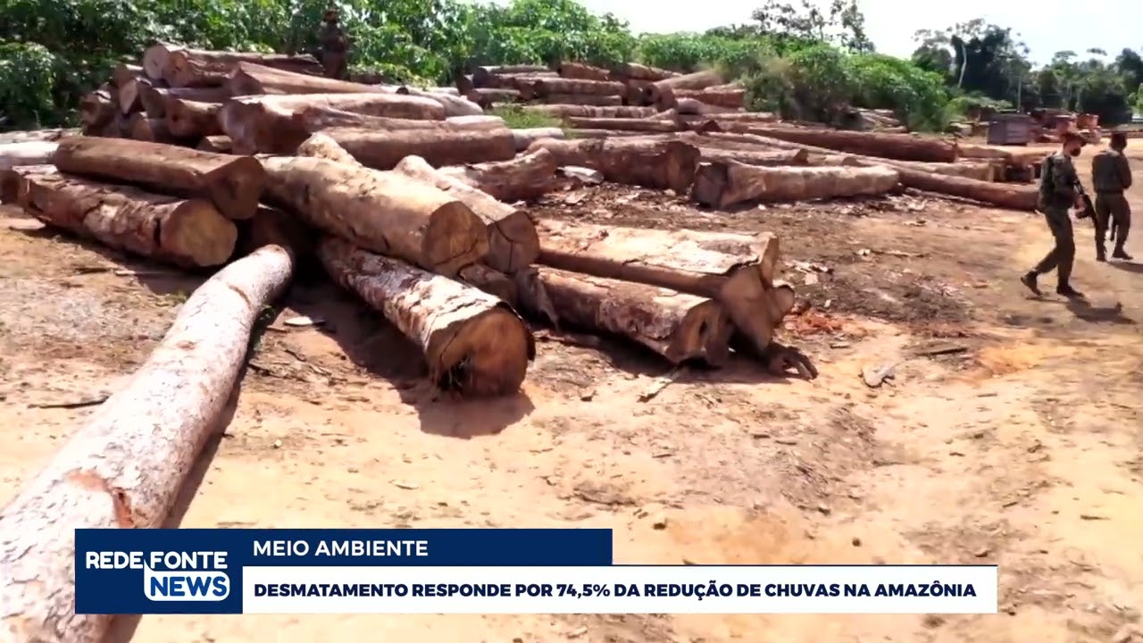 DESMATAMENTO RESPONDE POR 74,5% DA REDUÇÃO DE CHUVAS NA AMAZÔNIA