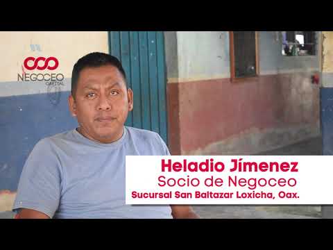 Entrevista Socio Heladio Apicultura. San Baltazar Loxicha, Oaxaca.