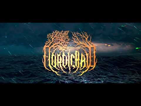 Nordic Raid - Protector Of Thunder And Storm (OFFICIAL LYRIC VIDEO)