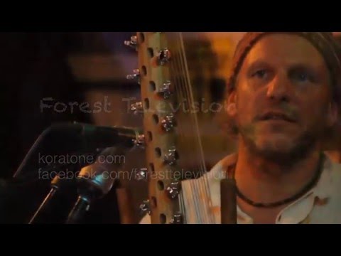 Forest Television | 5 minute promo | world sacred music | World Fusion | heart songs | world jazz
