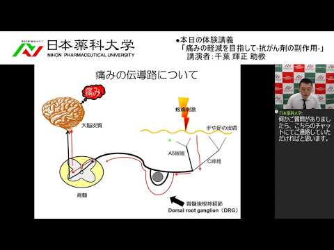 体験講義：「痛みの軽減を目指して-抗がん剤の副作用-」