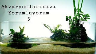 Akvaryumlarınızı Yorumluyorum-5