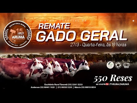 LOTE 106A - 10 VACAS - VAZIAS