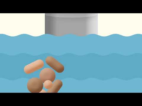 Pågen jästtillverkning