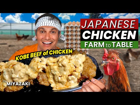 Japanese CHICKEN Food Adventure | Farm to Table ★ ONLY in JAPAN
