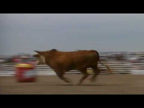 PBR 1995: Hot Child nearly kills Roach Hedeman (78 pts)