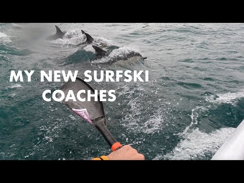 SURFSK is LifeI: #100 Look WHO CELEBRATED my 100th Millers WITH ME