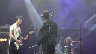 Peter Doherty - I Don&#39;t Love Anyone (But You&#39;re Not Just Anyone) (Live @ FIB 15-07-17)