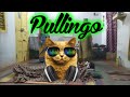 Enga Pullingo Ellam Bayangaram Sleeping Version Whatsapp Status Phoenix Generation PG K7