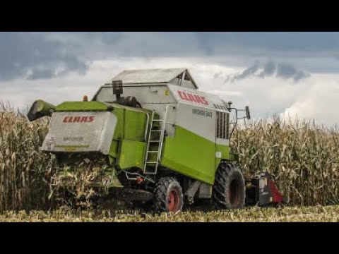 🔥KOSZENIE QQ NA ZIARNO//CLASS W AKCJI🔥GR TWAROWSKI