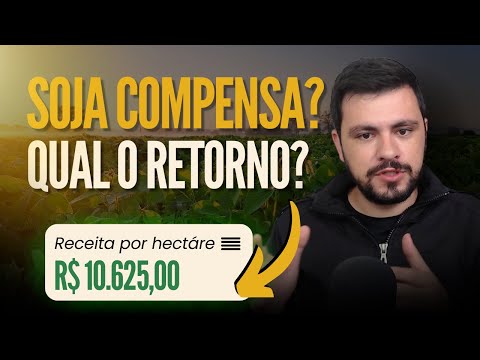 Quanto custa uma lavoura de SOJA? Possibilidade de Lucratividade