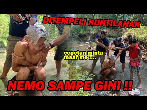 We were all shocked!! TURNS OUT THERE WAS A SCARY FIGURE BEHIND NEMO