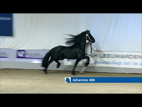 Jehannes 484 wint rubriek 3