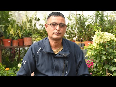 फूलले बदलिदिएको महेन्द्रको भाग्य– ७०० को जागिर छाडेर महिनाकै ७ लाखसम्म [भिडियो]