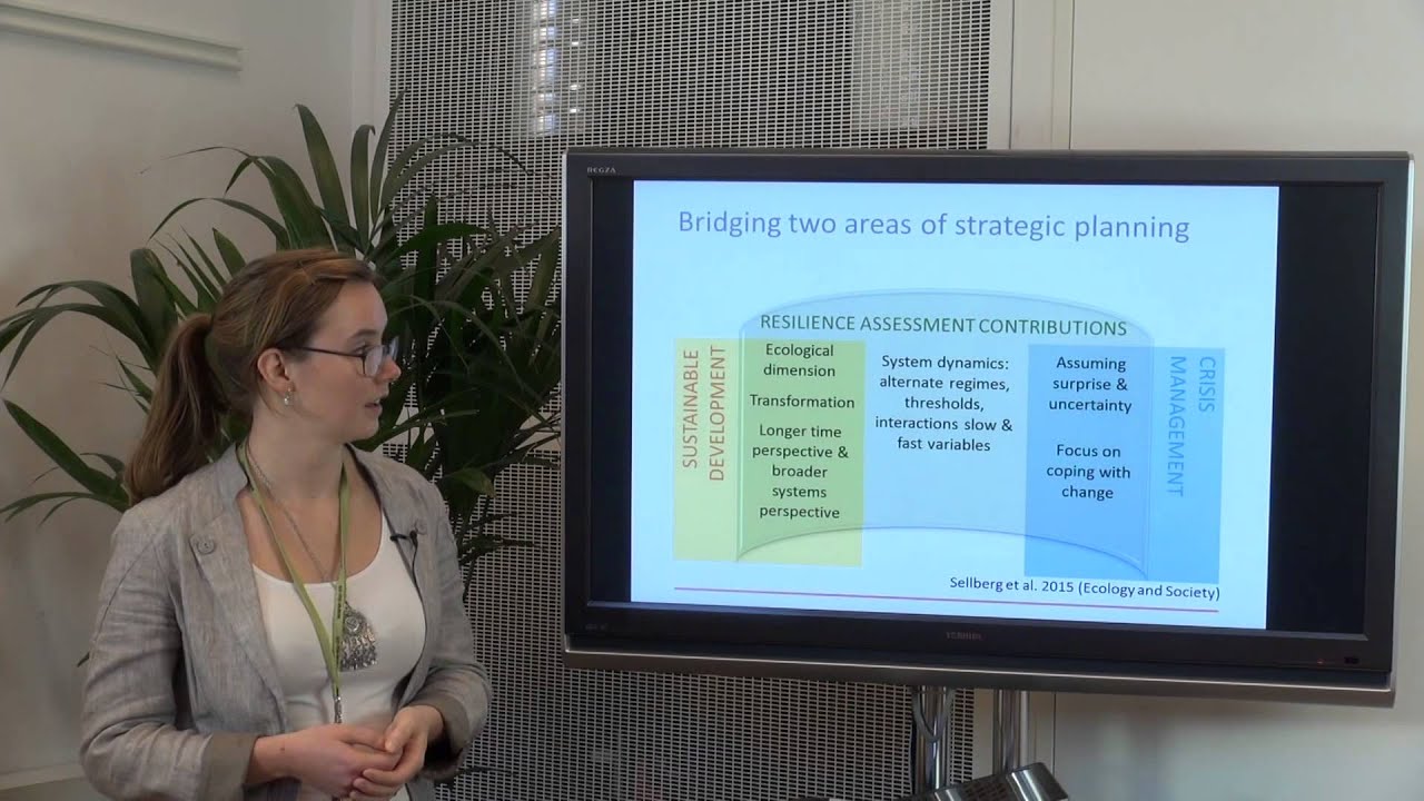 Resilience assessment