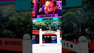 A POLÊMICA DO ZOO DE SOROCABA