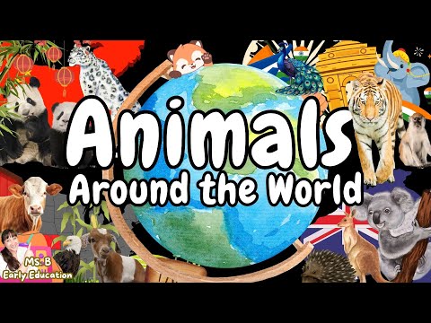Toddler Learning | Animals Around the World 🌏🦁🐨 | Learn Farm, Zoo, and Wild animals for kids!