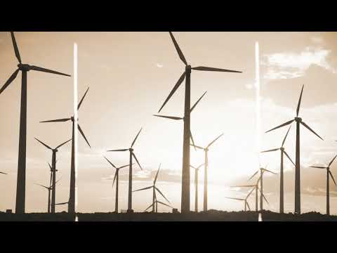 Oliver Rodley - Sweet Green Tea (Official Video)