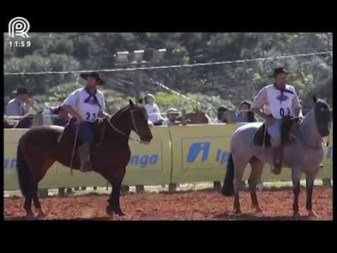 Região SC/PR – 2° e 7° lugar fêmeas – Re Garoa Com Vento e La Ganga da Don Ferrante (Campo II)