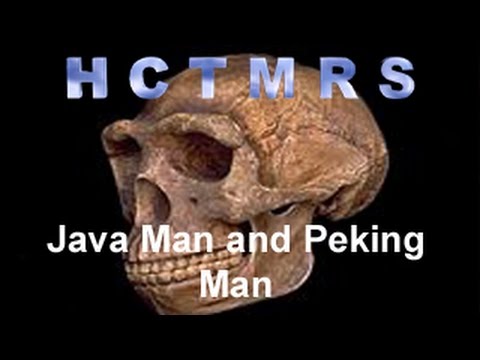 How Creationism Taught Me Real Science 28 Java Man and Peking Man