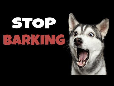 High Pitched Dog Whistle Sound To Stop Dogs Barking