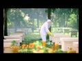 Madu TJ Panen Madu
