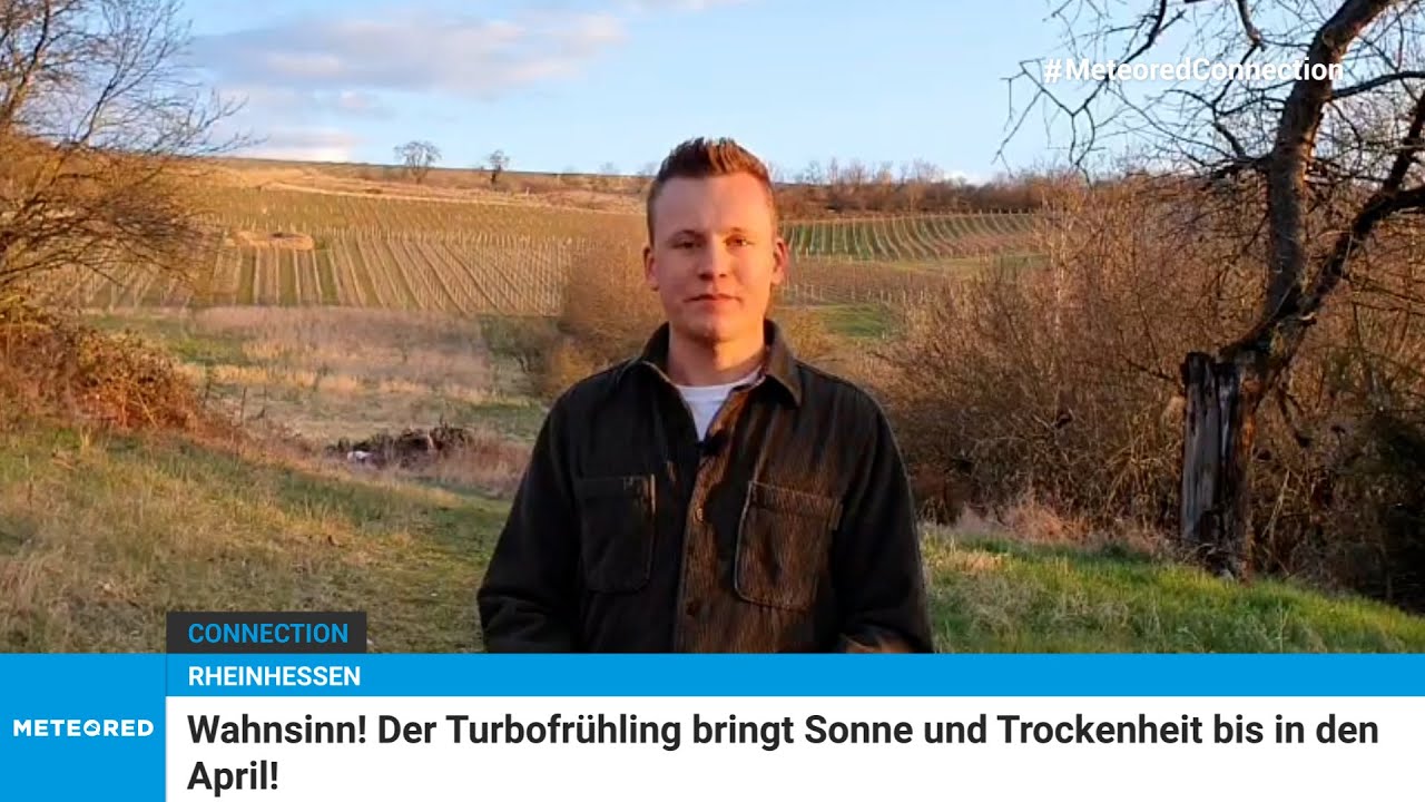 youtube video id=pkIjqg8KTxE