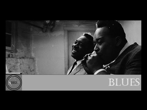 Muddy Waters & Otis Spann - Tin Pan Alley