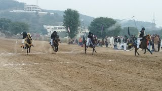 preview picture of video 'Live Horse Race In Anmb Dadyal'