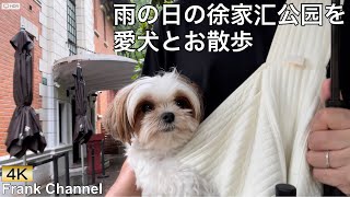 【4K動画】雨の日の上海徐家汇公园を愛犬とお散歩／Taking a walk in Shanghai Xujiahui Park with my dog on a rainy day