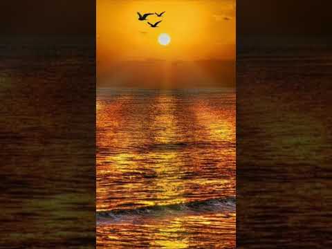 Asmalı (Gökhan Tepe Cover)