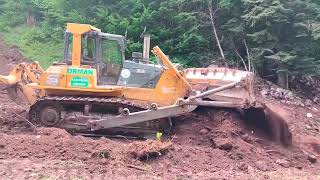 KOMATSU D85 EX Dozer Navigates Open Forest Road