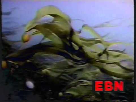 [EBN] Emergency Broadcast Network - Psychoactive Drugs [HQ]